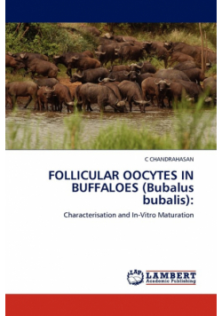 FOLLICULAR OOCYTES IN BUFFALOES (Bubalus bubalis)