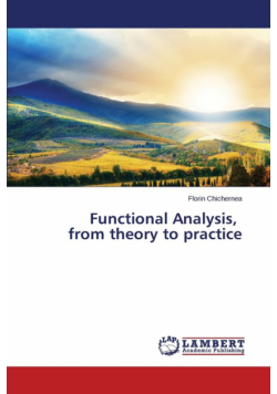 Functional Analysis, from Theory to Practice