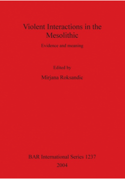 Violent Interactions in the Mesolithic