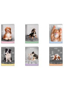 Zeszyt A5/32K kratka SWEET PETS MIX (20szt)