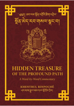 Hidden Treasure of the Profound Path
