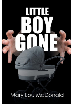 Little Boy Gone
