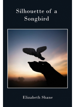 Silhouette of a Songbird