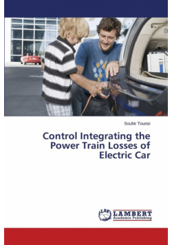 Control Integrating the Power Train Losses of Electric Car