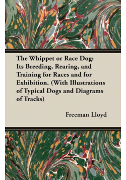 The Whippet or Race Dog
