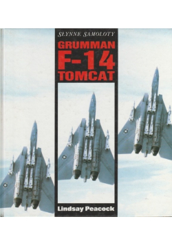 Grumman F 14 Tomcat