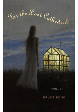 For the Lost Cathedral