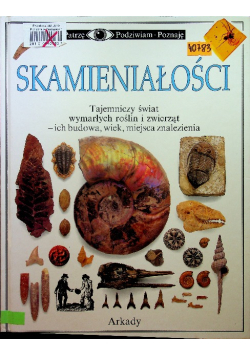 Skamieniałości Patrzę podziwiam poznaję