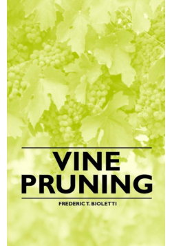 Vine Pruning