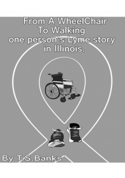 From a wheelchair to walking one person's Lyme story in Illinois.