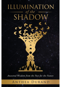 Illumination of the Shadow