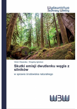 Skutki emisji dwutlenku węgla z silników