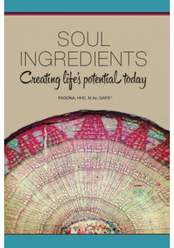 Soul Ingredients