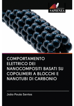 Comportamento Elettrico Dei Nanocompositi Basati Su Copolimeri A Blocchi E Nanotubi Di Carbonio