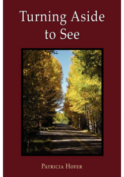 Turning Aside to See