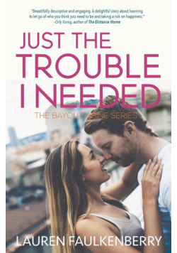 Just the Trouble I Needed
