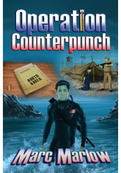 Operation Counterpunch