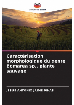 Caractérisation morphologique du genre Bomarea sp., plante sauvage
