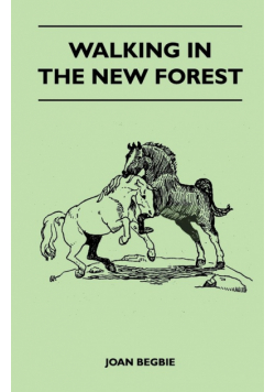 Walking in the New Forest