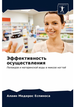 Эффективность осуществления