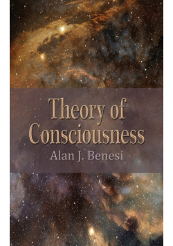 Theory of Consciousness