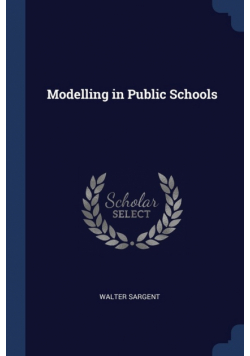 Modelling in Public Schools
