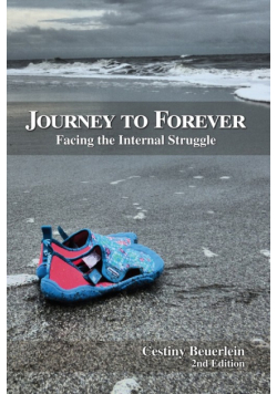 Journey to Forever