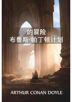 布鲁斯·帕丁顿历险记计划