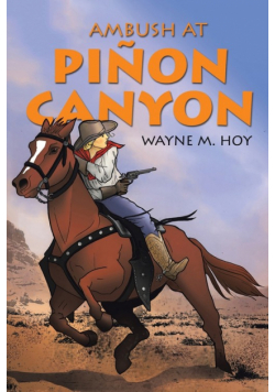 Ambush at Piñon Canyon