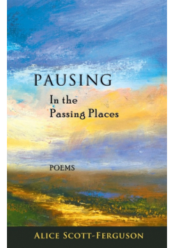 Pausing in the Passing Places