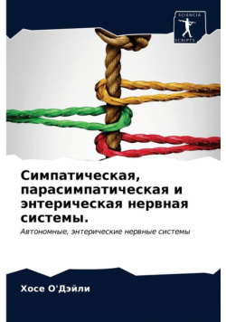 Симпатическая, парасимпатическая и энтерическая нервная системы.