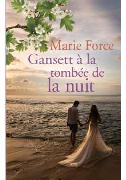 Gansett à la tombée de la nuit