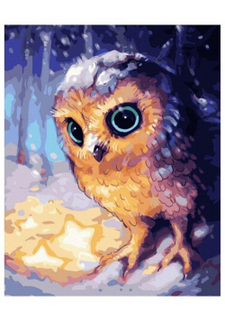 Malowanie po numerach - Sowa na śniegu 40x50cm