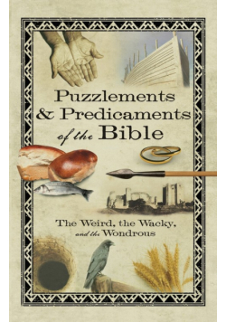 Puzzlements & Predicaments of the Bible