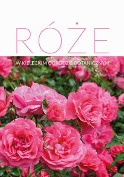 Róże w Kieleckim Ogrodzie Botanicznym