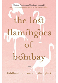 The Lost Flamingoes of Bombay