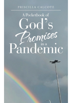 A Pocketbook of God's Promises in a Pandemic