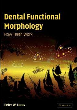 Dental Functional Morphology