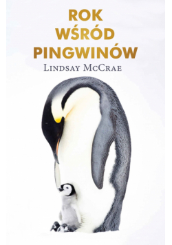Rok wśród pingwinów