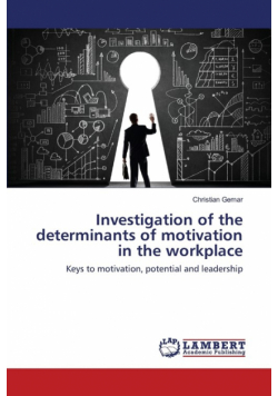 Investigation of the determinants of motivation in the workplace