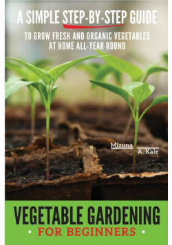 Vegetable Gardening for Beginners