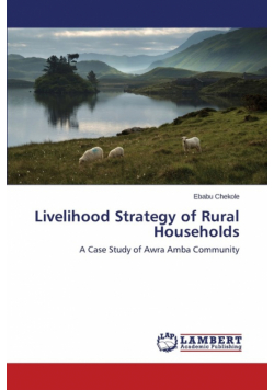 Livelihood Strategy of Rural Households