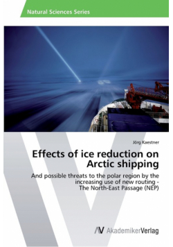 Effects of ice reduction on Arctic shipping