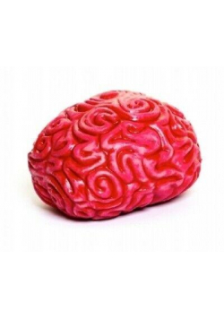 Gniotek Ogromny Mózg