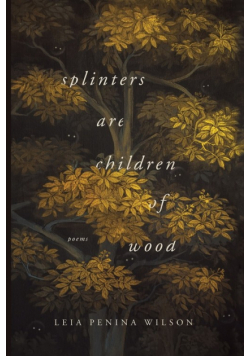 Splinters Are Children of Wood