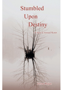 Stumbled Upon Destiny