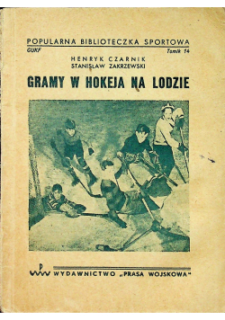 Gramy w hokeja na lodzie