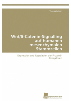 Wnt/ß-Catenin-Signalling auf humanen mesenchymalen Stammzellen