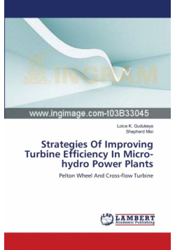 Strategies Of Improving Turbine Efficiency In Micro-hydro Power Plants