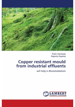 Copper resistant mould from industrial effluents